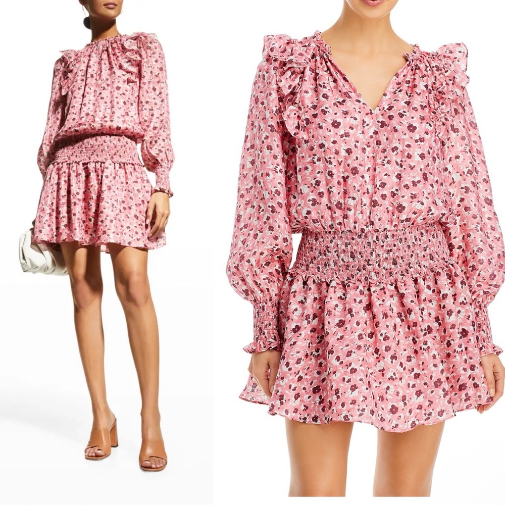 NWT Ramy Brook Penelope Ruffled Dress M